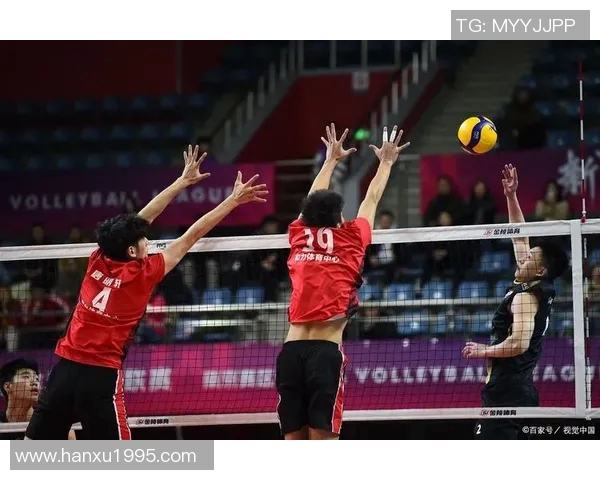 陈娜独家分享排球心得与技巧助你提升球技的秘诀与经验